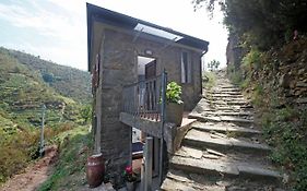 Fiesse Cottage
