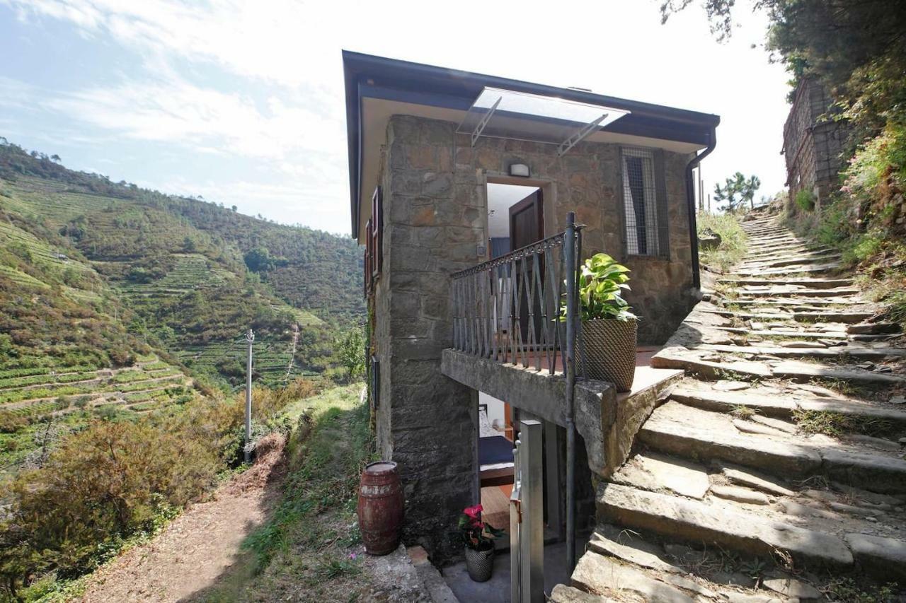 Fiesse Cottage Manarola Exterior photo